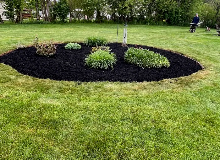 Freshly maintained planting bed in a green lawn