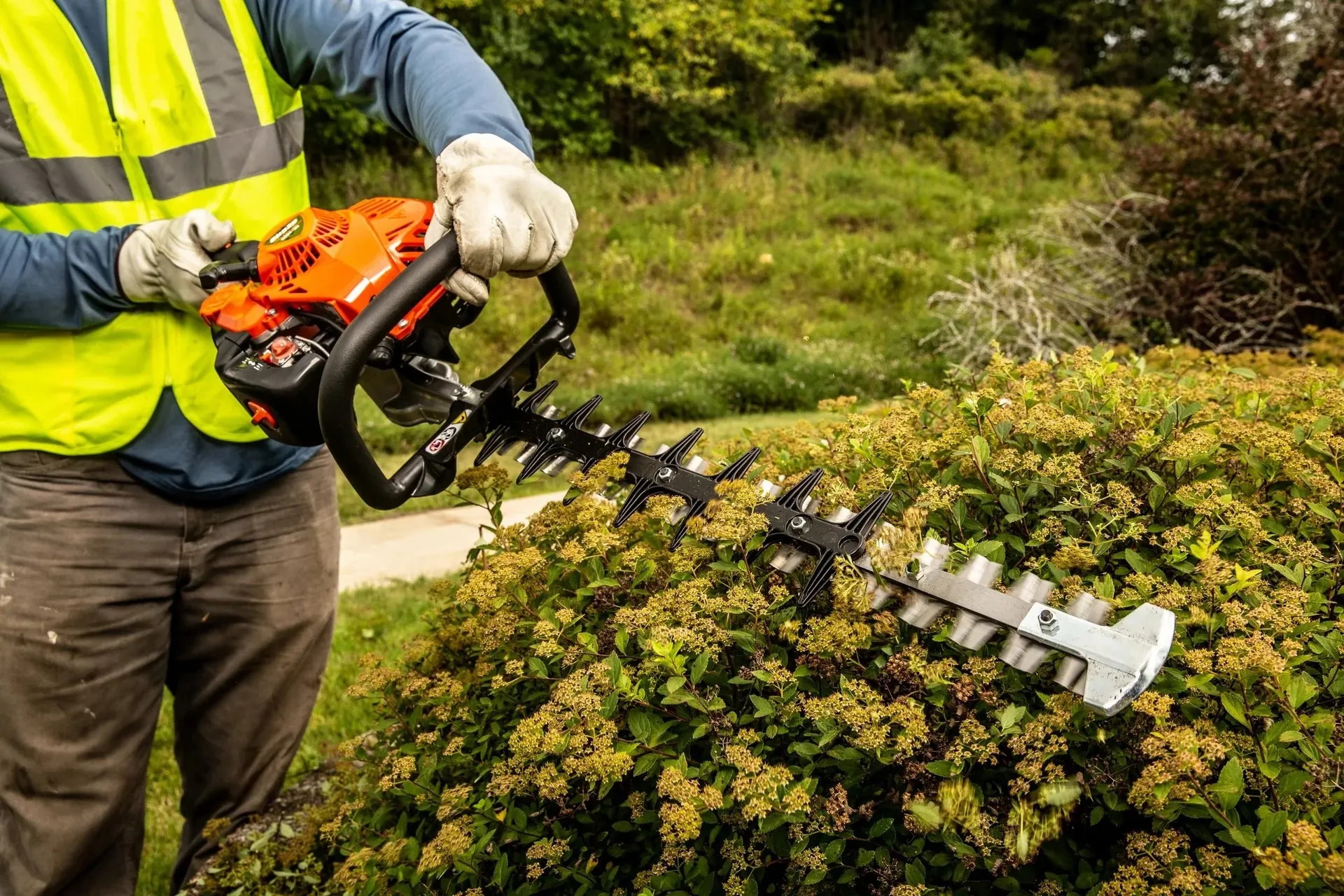 A landscaper carefully trimming a hedge