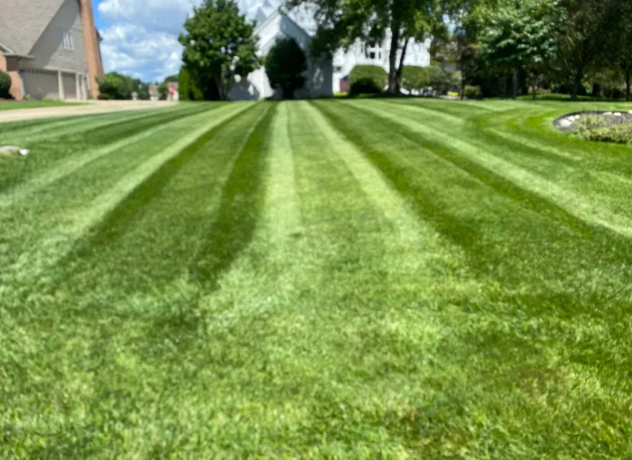 Freshly mowed lawn with even stripes