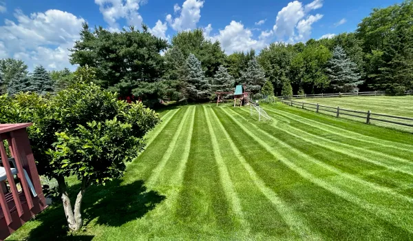 Wide, neatly maintained green lawn